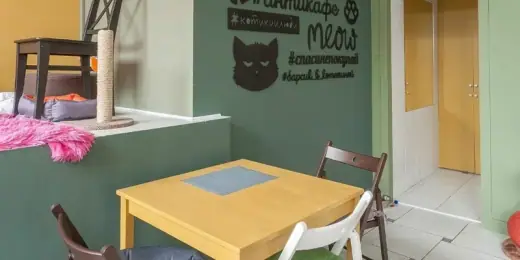Котокафе «Котики и Люди», фотография 4