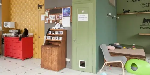Котокафе «Котики и Люди», фотография 4